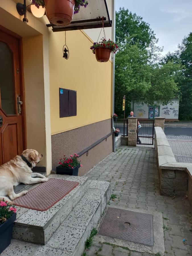 Msprivat Hotel Karlovy Vary Exterior photo