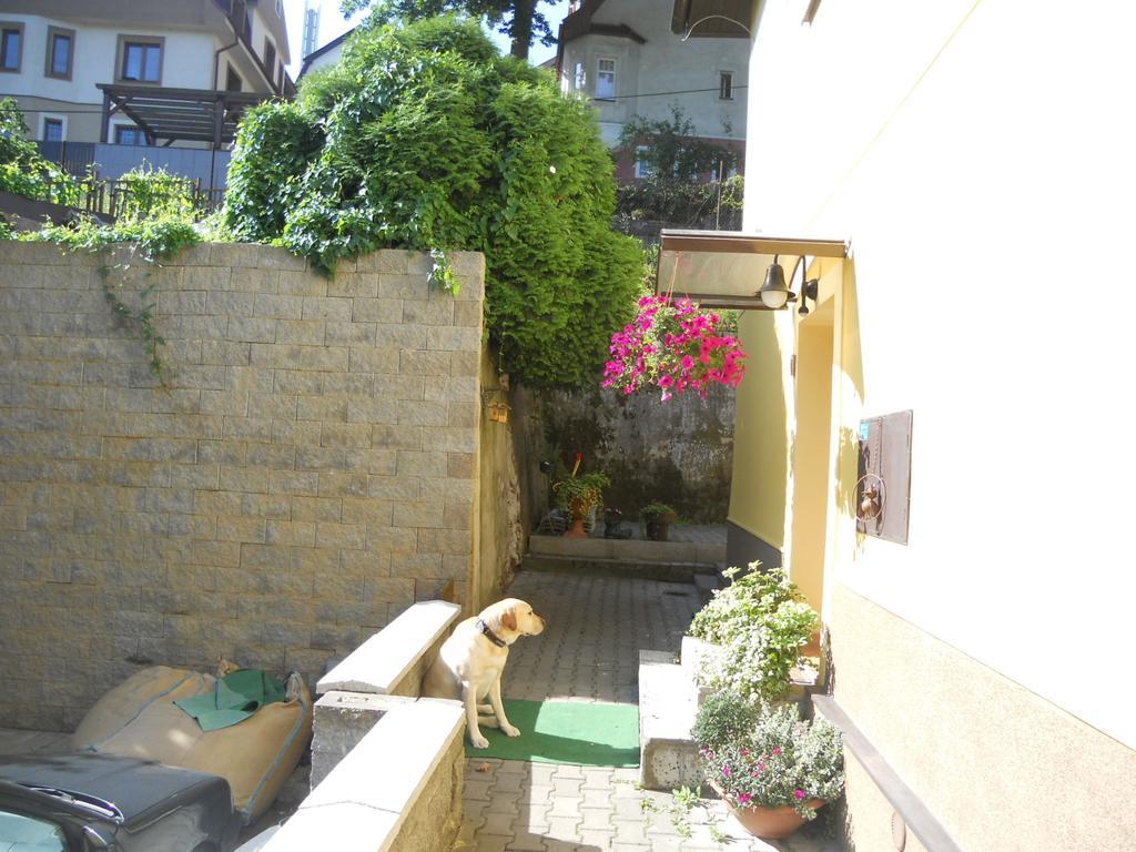 Msprivat Hotel Karlovy Vary Exterior photo